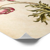 Vintager botanischer Anemon Poster (Ecke)