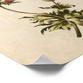 Vintager botanischer Anemon Poster (Ecke)