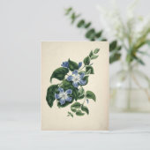 Vintager botanischer Ausdruck Postkarte (Stehend Vorderseite)