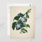 Vintager botanischer Ausdruck Postkarte (Vorne/Hinten)