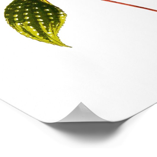 Vintager Botanischer Blattdruck Poster (Ecke)