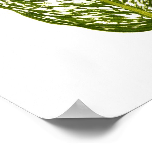 Vintager Botanischer Blattdruck Poster (Ecke)