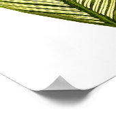 Vintager Botanischer Blattdruck Poster (Ecke)