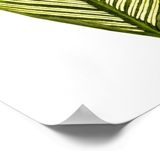 Vintager Botanischer Blattdruck Poster (Ecke)