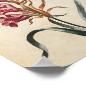 Vintager Botanischer Blumenhandschuh Poster (Ecke)