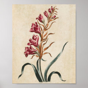 Vintager Botanischer Blumenhandschuh Poster