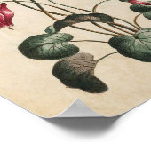Vintager botanischer Blumenkanzler Print Poster (Ecke)