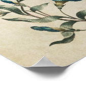 Vintager botanischer Blumenkonvolvulus Poster (Ecke)