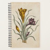 Vintager botanischer Blumenkrekus Planer (Vorderseite)