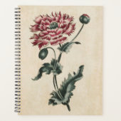 Vintager Botanischer Blumenmohn Planer (Vorderseite)
