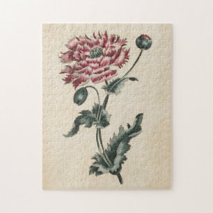 Vintager Botanischer Blumenmohn Puzzle