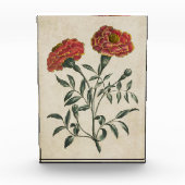 Vintager Botanischer Blumenstrauß Fotoblock (Vorderseite)