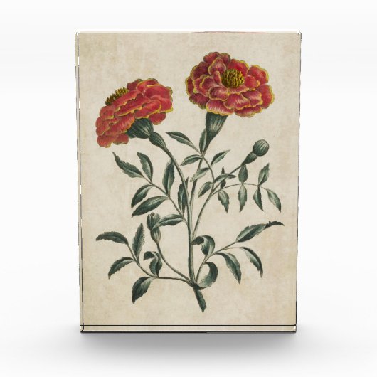 Vintager Botanischer Blumenstrauß Fotoblock (Vorderseite)