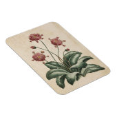 Vintager botanischer Blumenzauber Magnet (Rechte Seite)