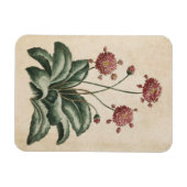 Vintager botanischer Blumenzauber Magnet (Horizontal)