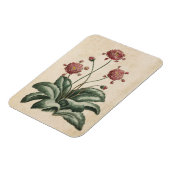 Vintager botanischer Blumenzauber Magnet (Linke Seite)