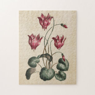 Vintager botanischer Blumenzymclamen Puzzle