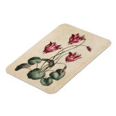Vintager Botanischer Blumenzymklaven Magnet (Linke Seite)