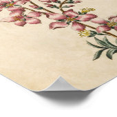 Vintager botanischer Blütenblättriger Blossom Poster (Ecke)