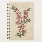 Vintager botanischer Blütenmandelblümchen Planer (Vorderseite)
