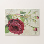 Vintager botanischer Comte de Falloux Rose Puzzle (Horizontal)