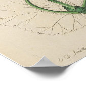 VINTAGER BOTANISCHER DEUTSCHER DRUCKPOSTER POSTER (Ecke)