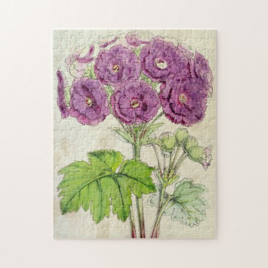 Vintager botanischer Doppelfüßler Puzzle (Vertikal)