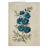 Vintager Botanischer Doppelspur (Vorne)