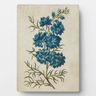 Vintager Botanischer Doppelspur Fotoplatte