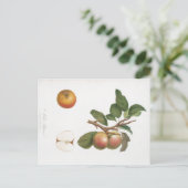 VINTAGER BOTANISCHER DRUCKPAPIER UND BRANCHENPOSTK POSTKARTE (Stehend Vorderseite)