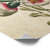 Vintager Botanischer Flora-Hellebore Poster (Ecke)
