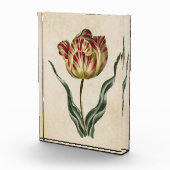 Vintager botanischer Flora-Tulip Fotoblock (Rechts)