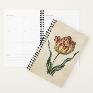 Vintager botanischer Flora-Tulip Planer