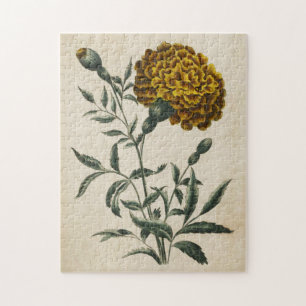 Vintager botanischer Floral African Marigold Puzzle
