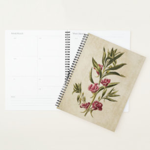 Vintager botanischer Floral Balsam Planer