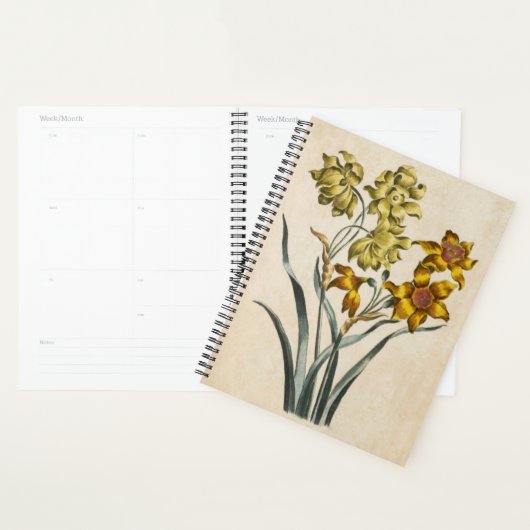 Vintager botanischer Floral Jonquil Planer (Anzeige)