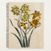 Vintager botanischer Floral Jonquil Planer (Vorderseite)
