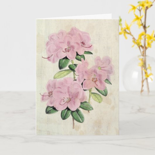 Vintager Botanischer Frühling Rhododendron Karte (Gelbe Blume)