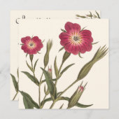 Vintager botanischer Geburtstag für Lady Gardener Einladung (Vorne/Hinten)