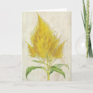 Vintager Botanischer Golden-Plumed Cock's Comb Karte