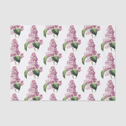 Vintager botanischer Lila Lilac Blossom Seidenpapier (Vorderseite)