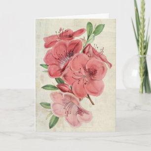 Vintager botanischer Magnet Azalea Karte