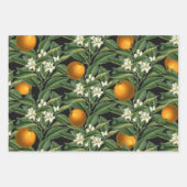 Vintager botanischer Orangenfruchtbarsch Schwarz Geschenkpapier Set (Vorderseite)