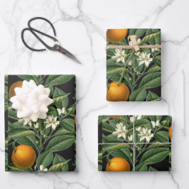 Vintager botanischer Orangenfruchtbarsch Schwarz Geschenkpapier Set