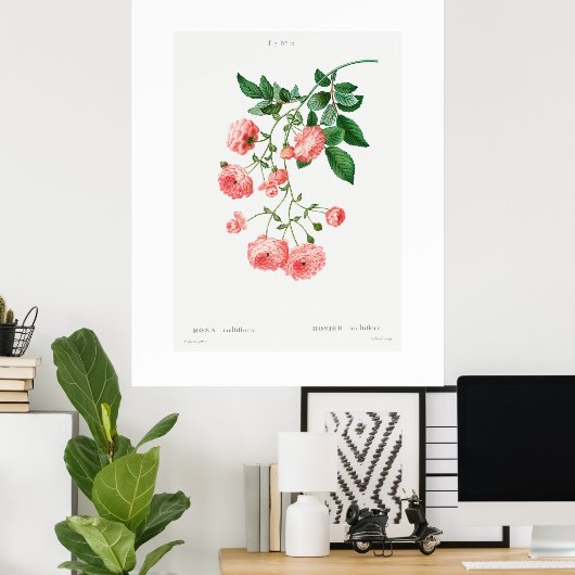 VINTAGER BOTANISCHER RAMBLER ROSE POSTER (Heimbüro)