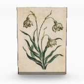 Vintager botanischer Schneefall Fotoblock (Vorderseite)