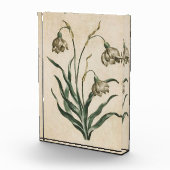 Vintager botanischer Schneefall Fotoblock (Rechts)