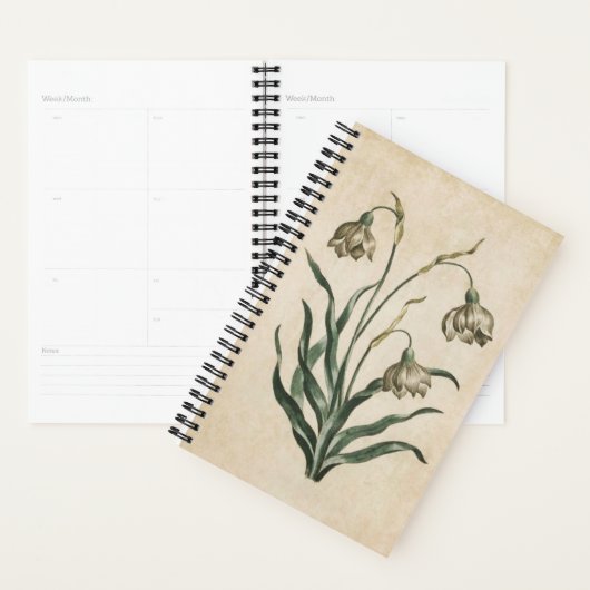 Vintager botanischer Schneefall Planer (Anzeige)