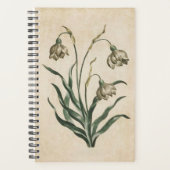 Vintager botanischer Schneefall Planer (Vorderseite)