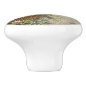 Vintager botanischer Vogel Nest Egg Skript Ephemer Keramikknauf (Seitenansicht)